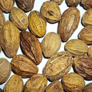Harad Health Benefits: यौन समस्याओं से लेकर पाचन तक, जानिए हरड़ के फायदे