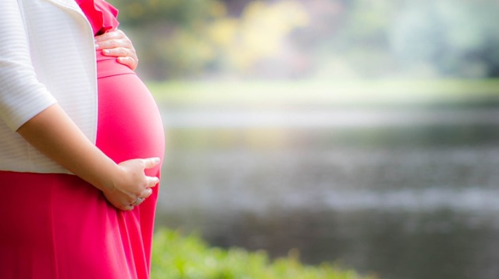 Pregnancy Diet Tips: गर्भावस्था के दौरान खाएं ये चीजें, बच्चा तंदरुस्त होगा पैदा