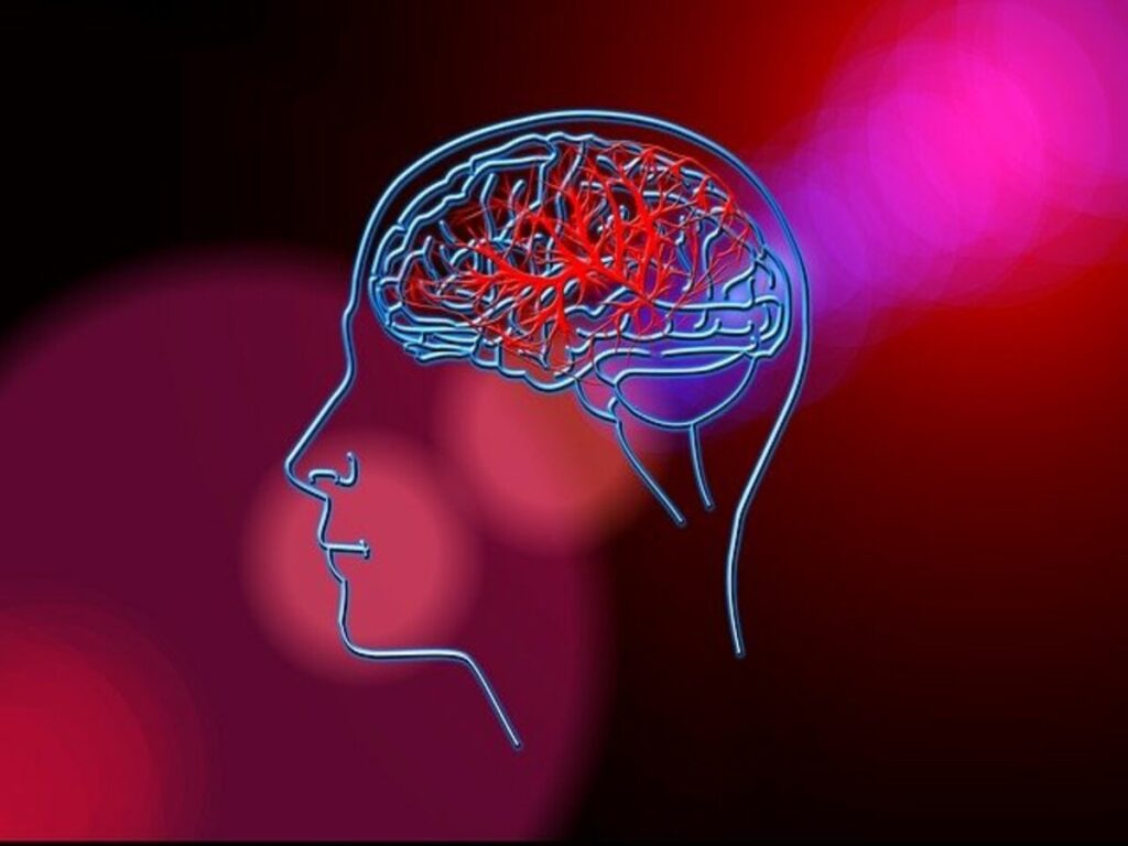 Stroke Symptoms: स्ट्रोक के कारण, लक्षण, और उपचार (Image Source: Pixabay)