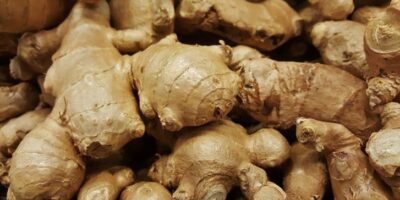 Ginger Health Benefits: जानिए अदरक का उपयोग, फायदे और नुकसान