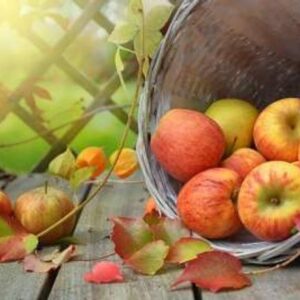 Apple Health Benefits: शुगर से लेकर पाचन तक, शरीर को फिट रखने के लिए रोज खाए एक सेब