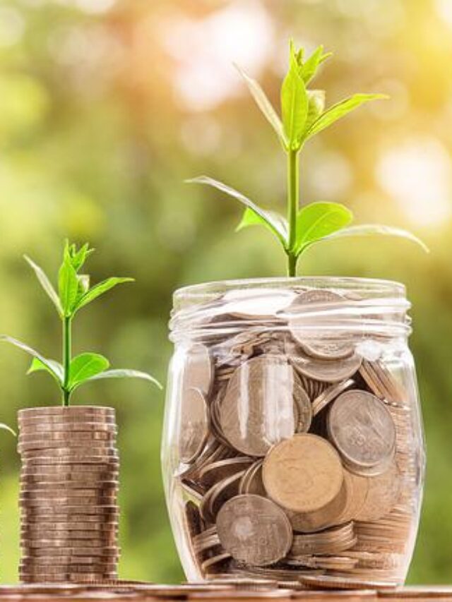 Business Ideas in Hindi-Pixa-bay
