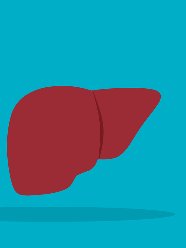 liver-pixabay
