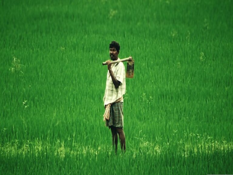 Kisan Credit Card: ऐसे बनवाएं किसान क्रेडिट कार्ड, मिलेगा 3 लाख रुपये तक का लोन