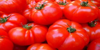 Cancer Diet: कैंसर से बचने के लिए आज से ही इन आहार को अपने डाइट में करें शामिल