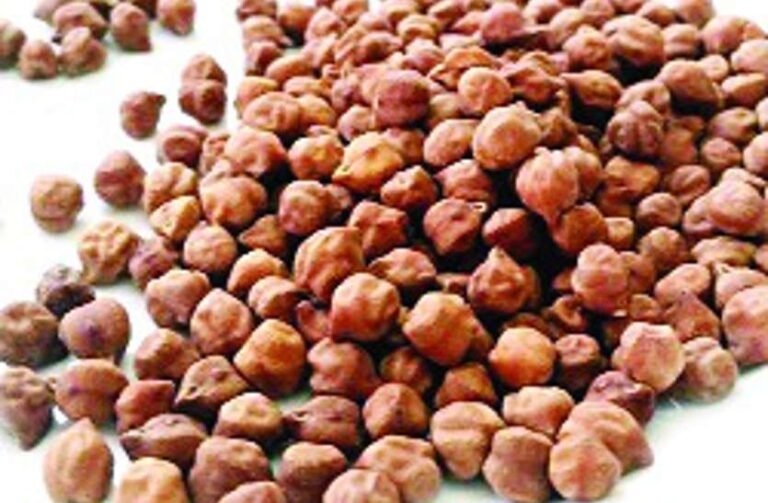 Black Gram Benefits: रोजाना सुबह भुने चने के सेवन से मिलते है ये अनगिनत फायदे