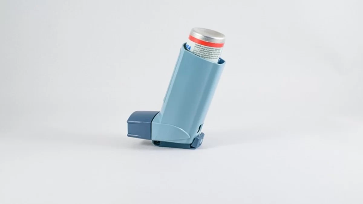 Asthma ka Ilaj: अस्थमा या दमा से जल्द छुटकारा पाने के लिए अपनाएं ये दमदार घरेलु नुस्खे (Images Source: PIxabay)