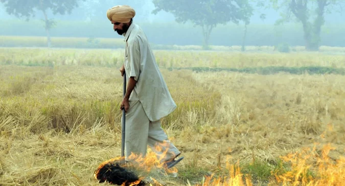 Punjab stubble burning cases