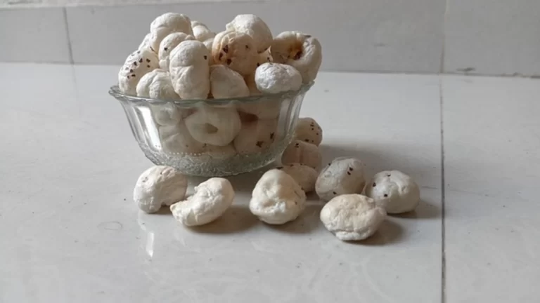 Makhana Health Benefits: मखाने का सेवन करने से इन बीमारियों से मिलता है छुटकारा, यहां जानिए 8 Makhana Health Benefits: मखाने का सेवन करने से इन बीमारियों से मिलता है छुटकारा, यहां जानिए (Image Source: Pixabay)