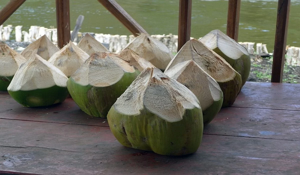 ब्लड प्रेशर से लेकर दिल की परेशानी तक, इन परेशानियों से हमे बचाता है नारियल पानी (Image Source: Pixabay)