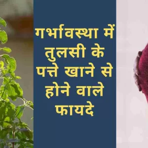 Tulsi Leaves Benefits: प्रेग्नेंसी में तुलसी के पत्ते का सेवन करने से मिलेंगे इतने फायदे, जानकर हो जाएंगे हैरान (Image Source: Pixabay)