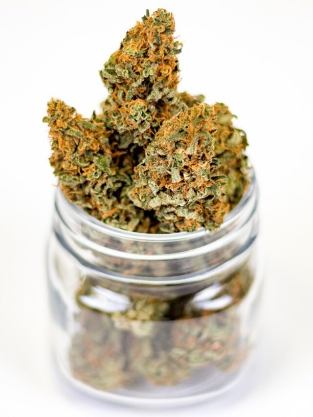Cannabis Pixabay