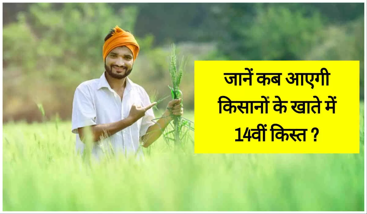 PM Kisan 14th Installment Date: कब तक आ सकती है पीएम किसान की 14वीं किस्त, यहां जानिए लेटेस्ट अपडेट (Image Credit: Pixabay)