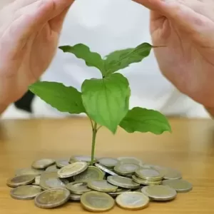 National Saving Certificate Pixabay