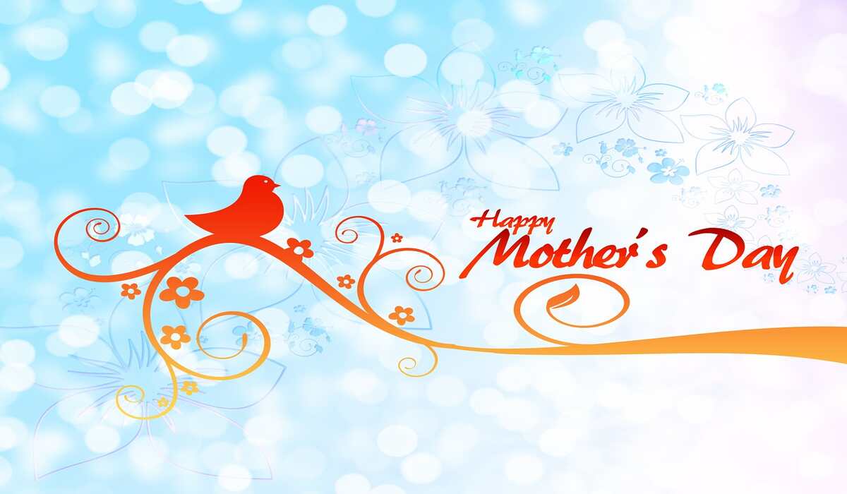 Mothers Day 2023 Wishes: मदर्स डे पर इन मैसेज के जरिए अपनी मां को भेजें शुभकामनाएं और बधाई संदेश (Image Source: Pixabay)