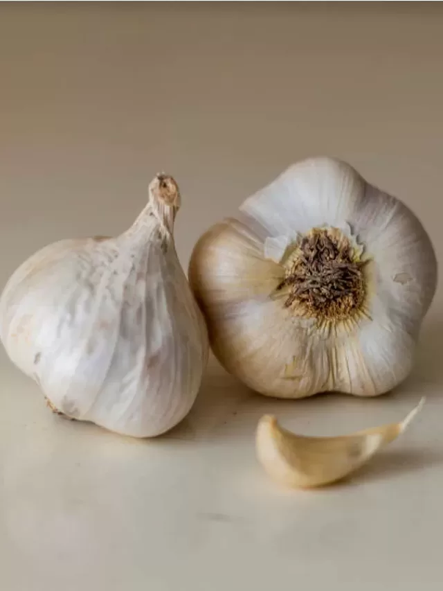 Garlic-Lahsun-in-Hindi