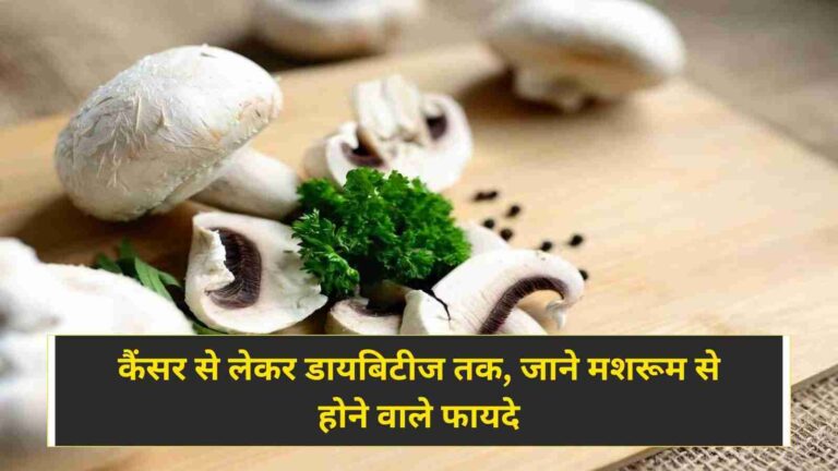 कैंसर से लेकर डायबिटीज तक, जाने मशरूम से होने वाले फायदे 6 Mushroom Health Benefits कैंसर से लेकर डायबिटीज तक, जाने मशरूम से होने वाले फायदे (Image Credit: Pixabay)