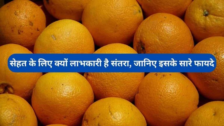 Orange Health Benefits: सेहत के लिए क्यों लाभकारी है संतरा, जानिए इसके सारे फायदे 4 Orange Health Benefits सेहत के लिए क्यों लाभकारी है संतरा, जानिए इसके सारे फायदे (Image Credit: Pixabay)