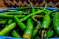 Green Chillies Benefits हर दिन मिर्च खाने से होते हैं ये 7 बड़े फायदे, जानकर रह जाएंगे हैरान ( Image Credit: Pixabay)