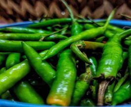 Green Chillies Benefits हर दिन मिर्च खाने से होते हैं ये 7 बड़े फायदे, जानकर रह जाएंगे हैरान ( Image Credit: Pixabay)