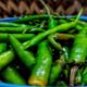 Green Chillies Benefits हर दिन मिर्च खाने से होते हैं ये 7 बड़े फायदे, जानकर रह जाएंगे हैरान ( Image Credit: Pixabay)