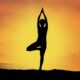 Yoga Tips: हर उम्र के लिए फायदेमंद है ये 4 आसान योगासन, आज से ही शुरू करें