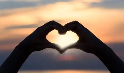 Diet Plan for Heart Patients दिल को स्वस्थ रखने के लिए क्या खाएं और क्या नहीं (Image Credit: Pixabay)