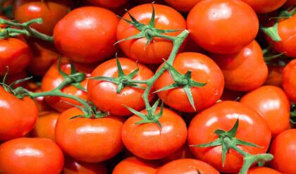 Tomato Chutney Benefits: लाल टमाटर की चटनी खाने के टॉप 5 हेल्थ बेनिफिट्स जो आपको जानने चाहिए (Image Credit: Pixabay)