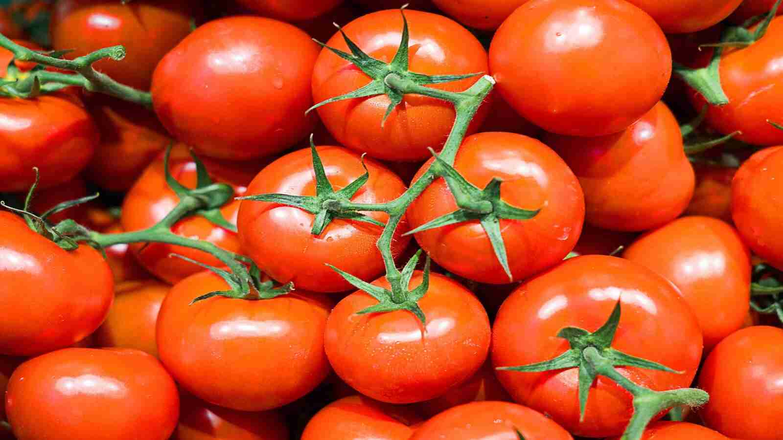 Tomato Chutney Benefits: लाल टमाटर की चटनी खाने के टॉप 5 हेल्थ बेनिफिट्स जो आपको जानने चाहिए (Image Credit: Pixabay)