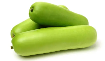 लौकी खाने के फायदे: पाचन और डायबिटीज सुधारने से लेकर वजन घटाने तक