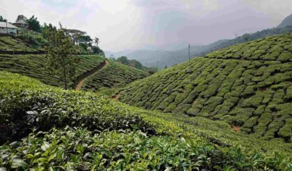 Honeymoon in India: हनीमून प्लान कर रहे हैं? विदेश छोड़िए, भारत की इन जगहों पर जाएं (Image Credit: Pixabay)