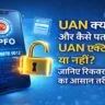 UAN क्या है? कैसे चेक करें UAN एक्टिव है या नहीं और भूल जाने पर ऐसे करें रिकवर ( AI Image)